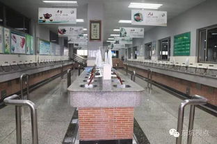 文化經(jīng)紀(jì)促活力，文明創(chuàng)建譜新篇——大東坑的文化服務(wù)實(shí)踐